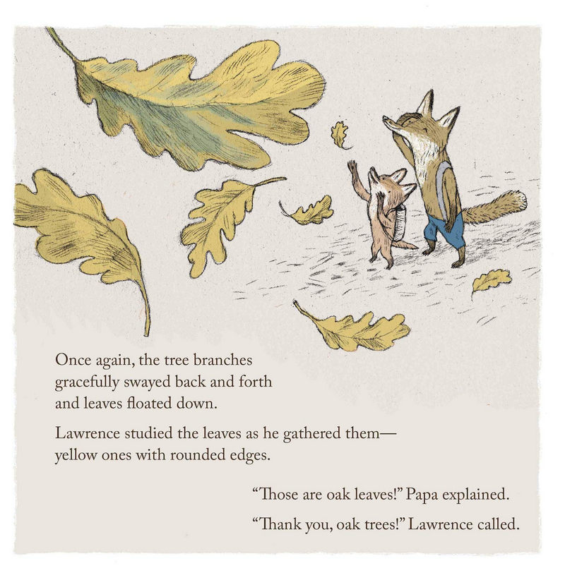 Illustration from Lawrence in the Fall showing foxes gathering yellow oak leaves in the autumn woods.