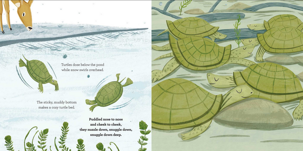 Snuggle Down Deep shows turtles snuggling underwater in a cozy pond as snow falls during wintertime.
