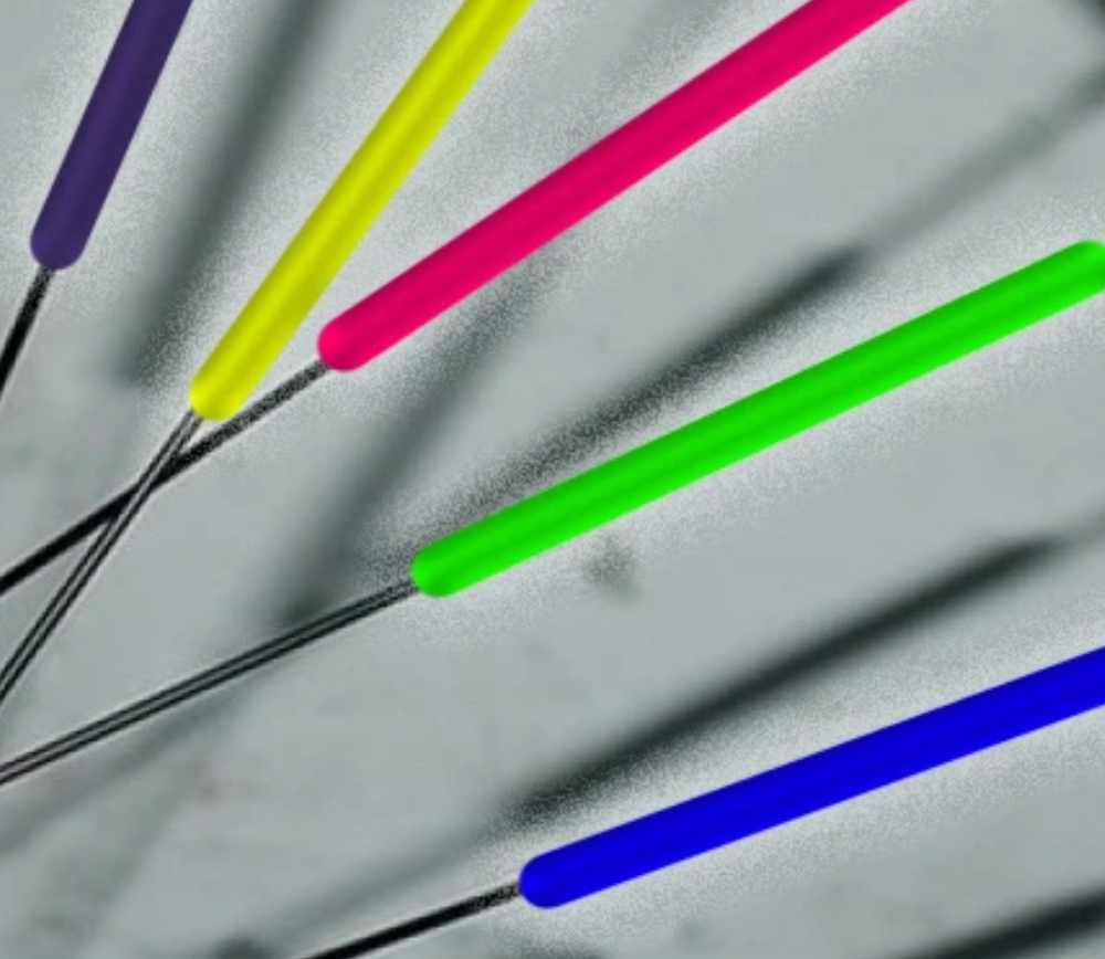 Bike Spoke Rainbow Reflectors showing colorful snap fit reflectors attached to bike spokes for visibility and style.