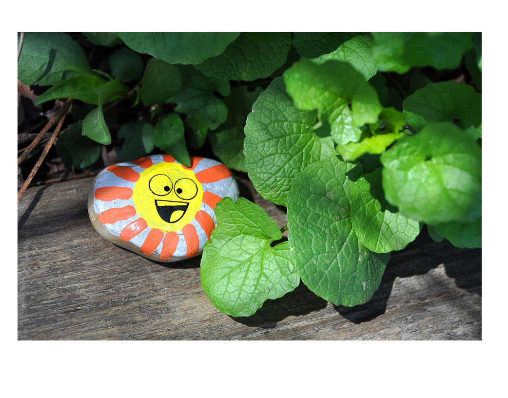 Hide & Seek Rock Painting Kit painted rock with a smiling sun hidden among green leaves on wooden surface outdoors.