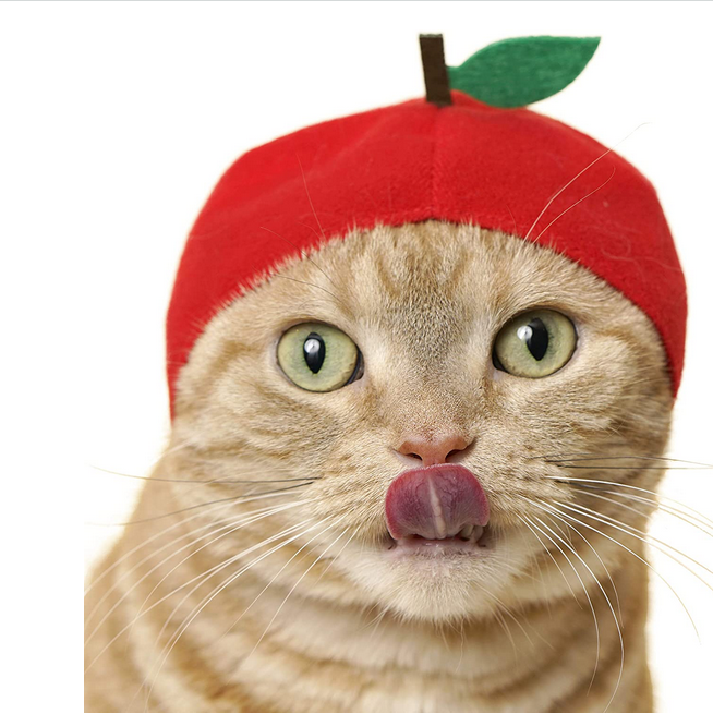 Cat wearing a red fruit-themed hat with a green leaf, cute and cozy style for Cat Cap Blind Box Fruit.