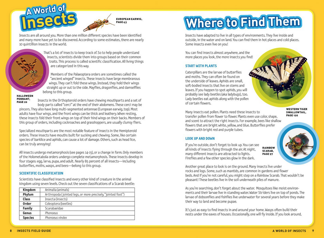 Kids Field Guide: Insects showing colorful insect photos and info pages for backyard exploration and learning.