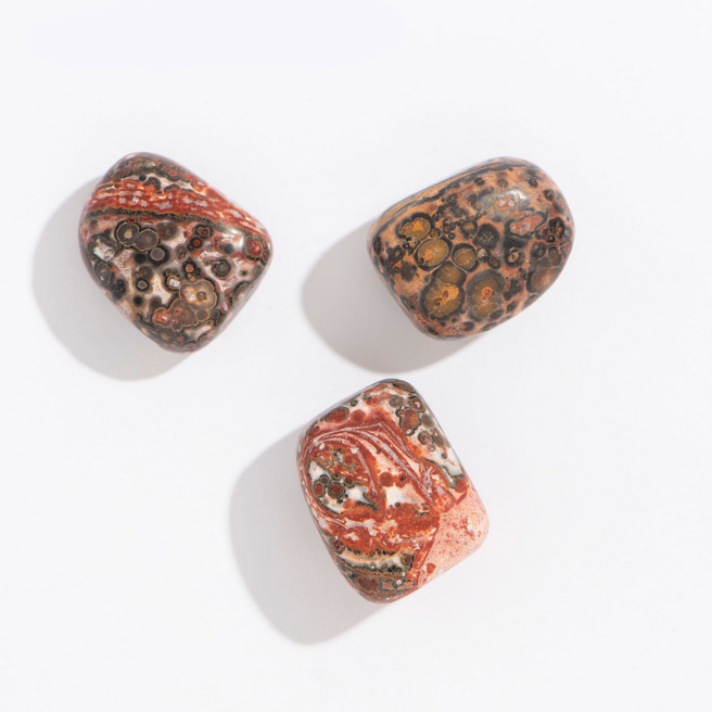 Rock | Tumbled Leopard Jasper showing polished stones with red, white, and brown leopard-like patterns for grounding.