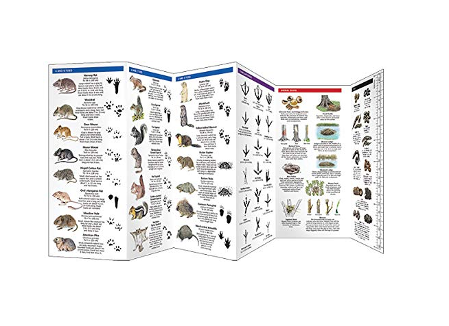 Pocket Animal Tracks Guide showing illustrated animal tracks, signs, and measuring ruler for outdoor enthusiasts.