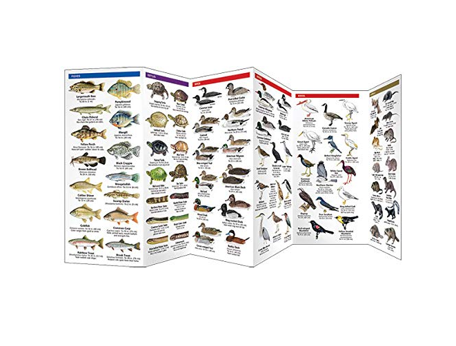 Pocket Pond Life Guide showing detailed illustrations of pond animals and birds in a durable, foldable format.