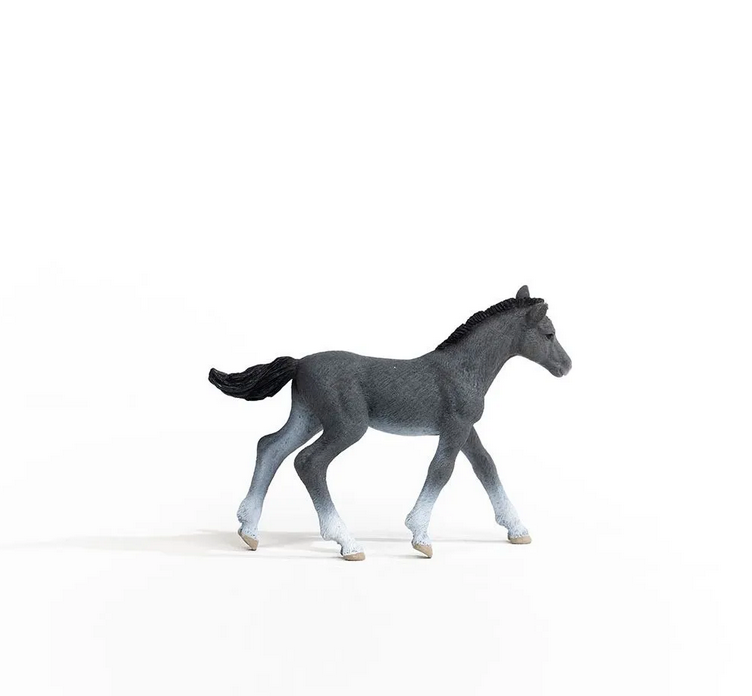 Trakehner Foal collectible figurine, realistic horse toy with detailed Trakehner build, perfect for kids 5-12 years.