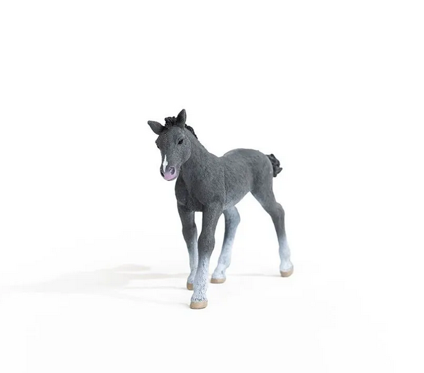 Trakehner Foal figurine with realistic details, standing gray foal model, collectible Schleich horse toy for kids ages 5-12.