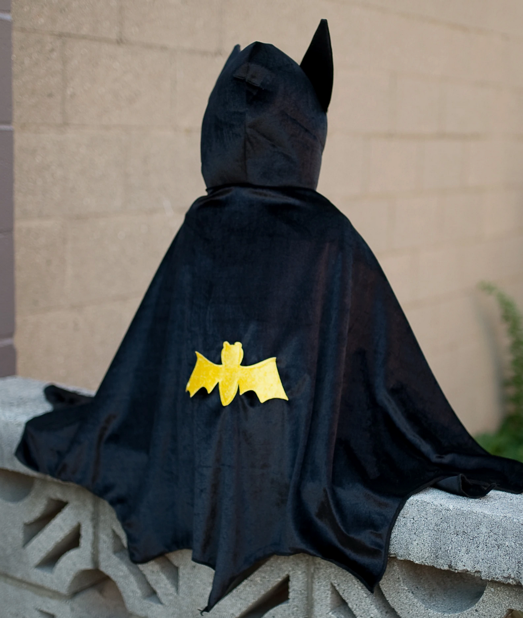 Bat Cape with Hood