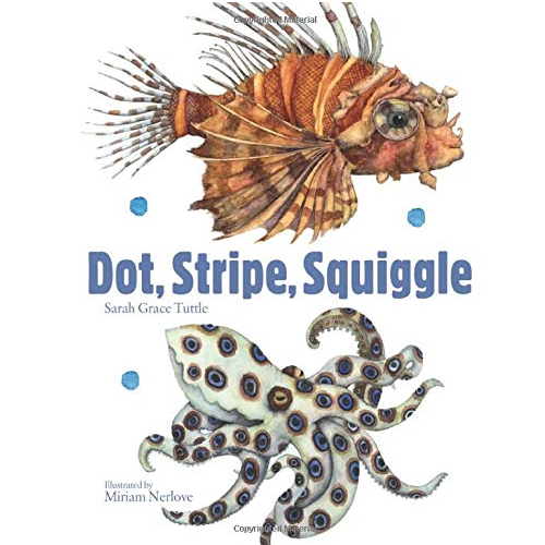 Dot Stripe Squiggle book cover showing detailed illustrations of a striped fish and a dotted octopus underwater.