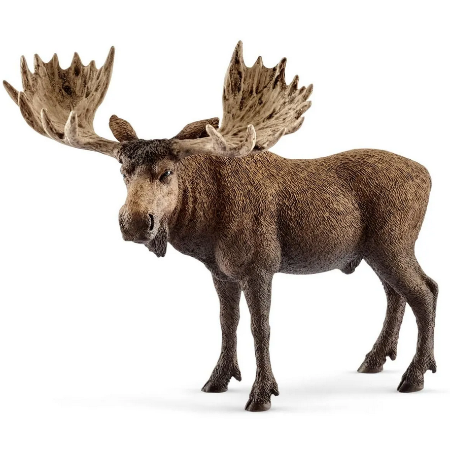 Bull Moose hand painted figure with detailed antlers, durable synthetic material, perfect pocket-sized collectible toy.