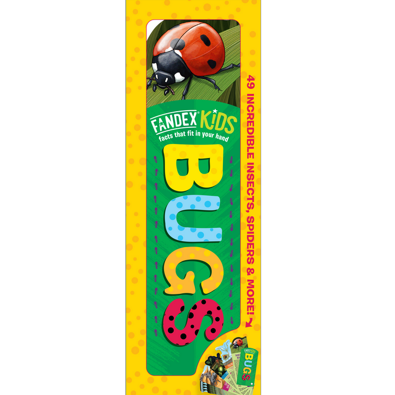 Fandex Kids: Bugs deck featuring colorful insect illustrations including a ladybug on a bright yellow background.