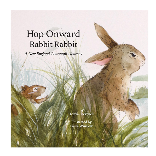 Cover of Hop Onward Rabbit Rabbit showing a watercolor New England cottontail rabbit and a small animal in grassy habitat.
