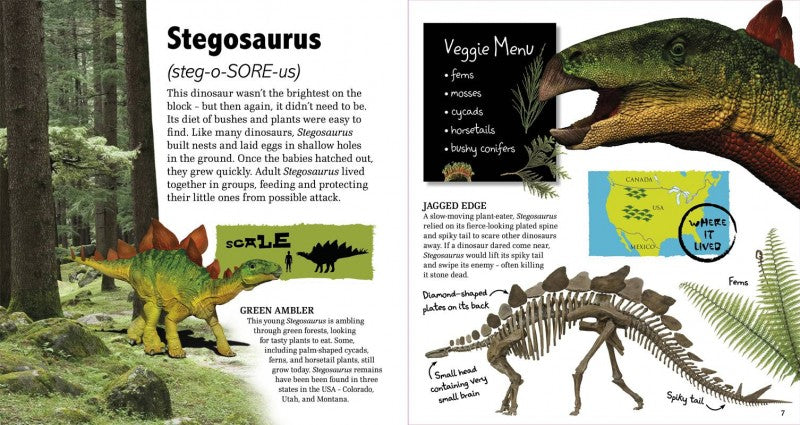 Amazing Giant Dinosaurs book showing colorful Stegosaurus artwork, skeleton, and informative dinosaur facts for kids.