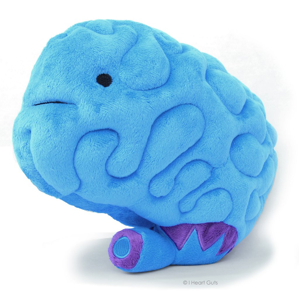 Brain plush toy in bright blue with textured folds, soft and cuddly 11x9x5 inches perfect for all ages.