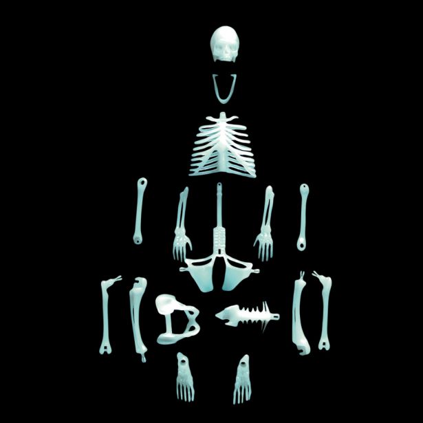 Human Skeleton glowing 16 piece puzzle with separate bones displayed on black background, 12 inches tall when assembled.