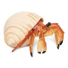 Hermit Crab with a beige shell and orange claws, detailed natural design, safe for ages 3 and up, BPA free toy.