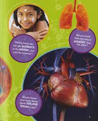 Ultimate BodyPedia showing educational illustrations and fun facts about the human heart, lungs, and circulatory system for kids.