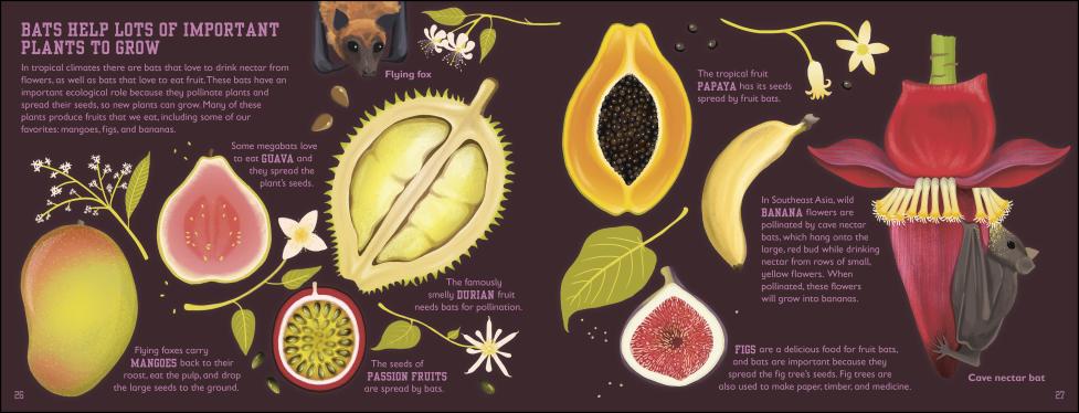 The Bat Book page with colorful illustrations of bats, tropical fruits, and educational facts about their ecological role.