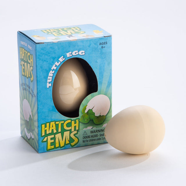 Hatch Em Turtle toy with plastic egg packaging showing turtle hatching over 48 hours for kids ages 6 plus