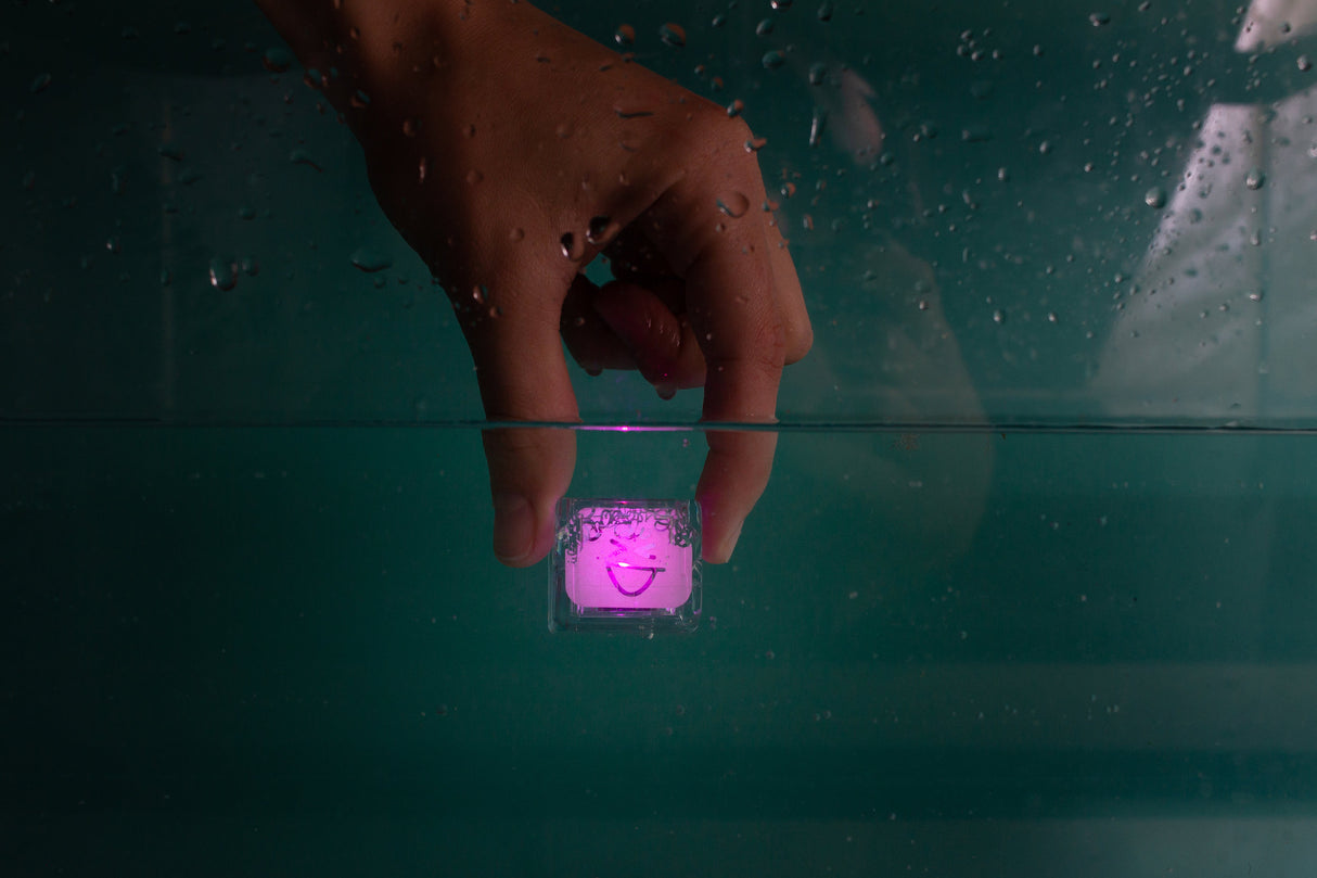 Hand holding a glowing purple light-up cube underwater from the Glo Pals Purple set.