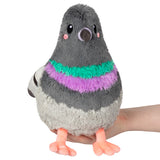 Pigeon Mini