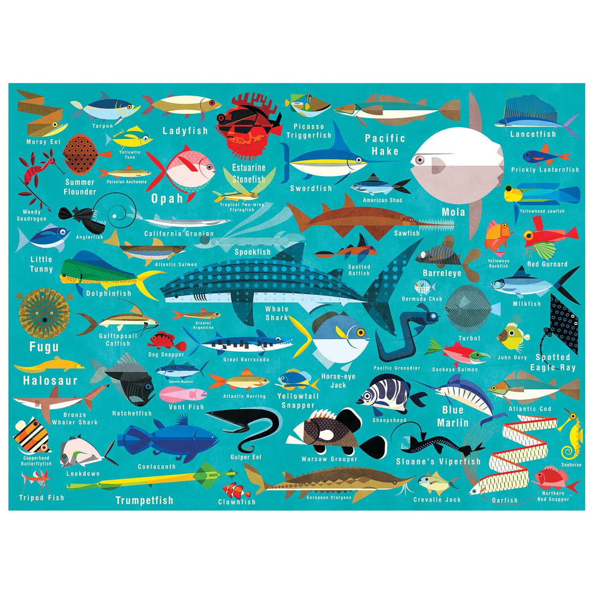 1000pc Ocean Life Puzzle showing colorful fish and ocean creatures in a vibrant educational family activity design.