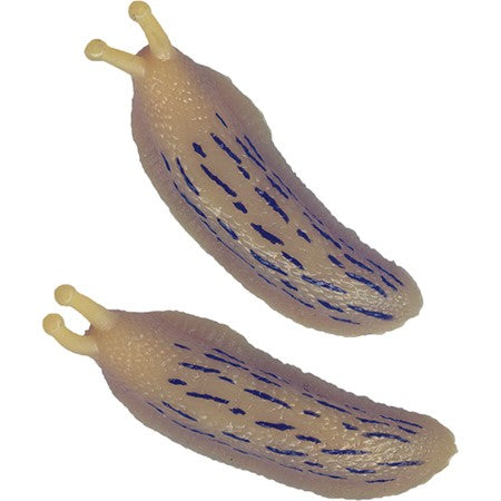 Stretchy Banana Slugs soft elastic realistic slugs with blue markings, perfect for playful creepy crawly fun.