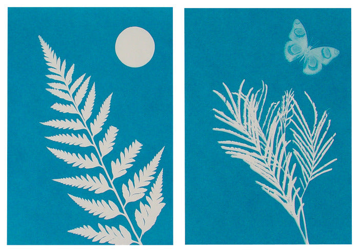 Solar Print Kit showing blue solar prints of a fern with the sun and a butterfly with plant leaves on light-sensitive paper.