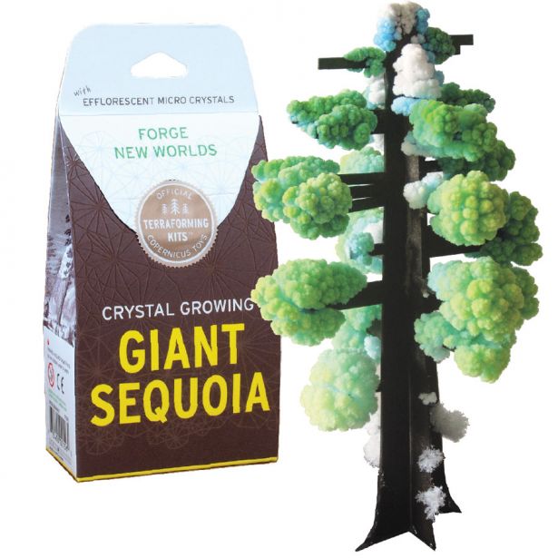 Crystal Grow Giant Sequoia