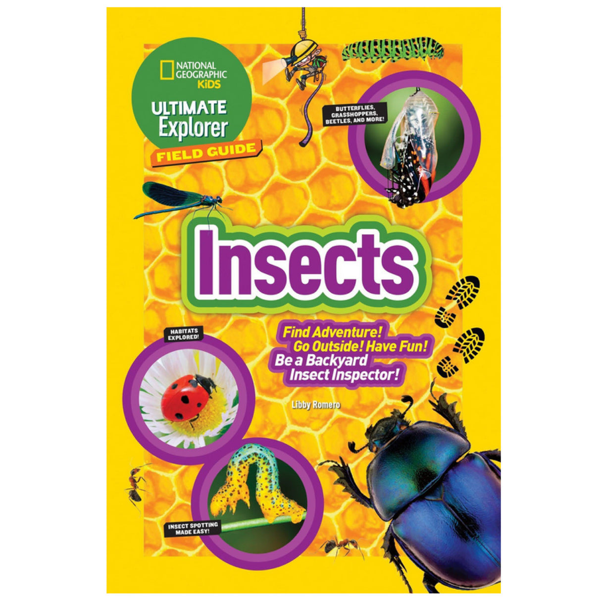 Kids Field Guide: Insects book cover with colorful insect illustrations and National Geographic Kids logo on yellow background