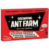 Classic Ant Farm