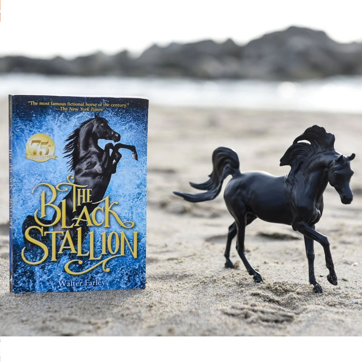 Black Stallion with Book showing the 75th anniversary edition and a detailed black stallion figure on a sandy beach.