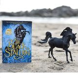 Black Stallion with Book