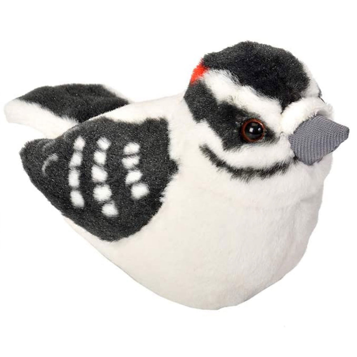 Audubon Bird | Downy Woodpecker