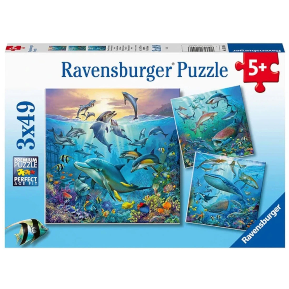 49pc Ocean Life Puzzles featuring colorful underwater scenes with dolphins, fish, and coral for ages 5 and up.