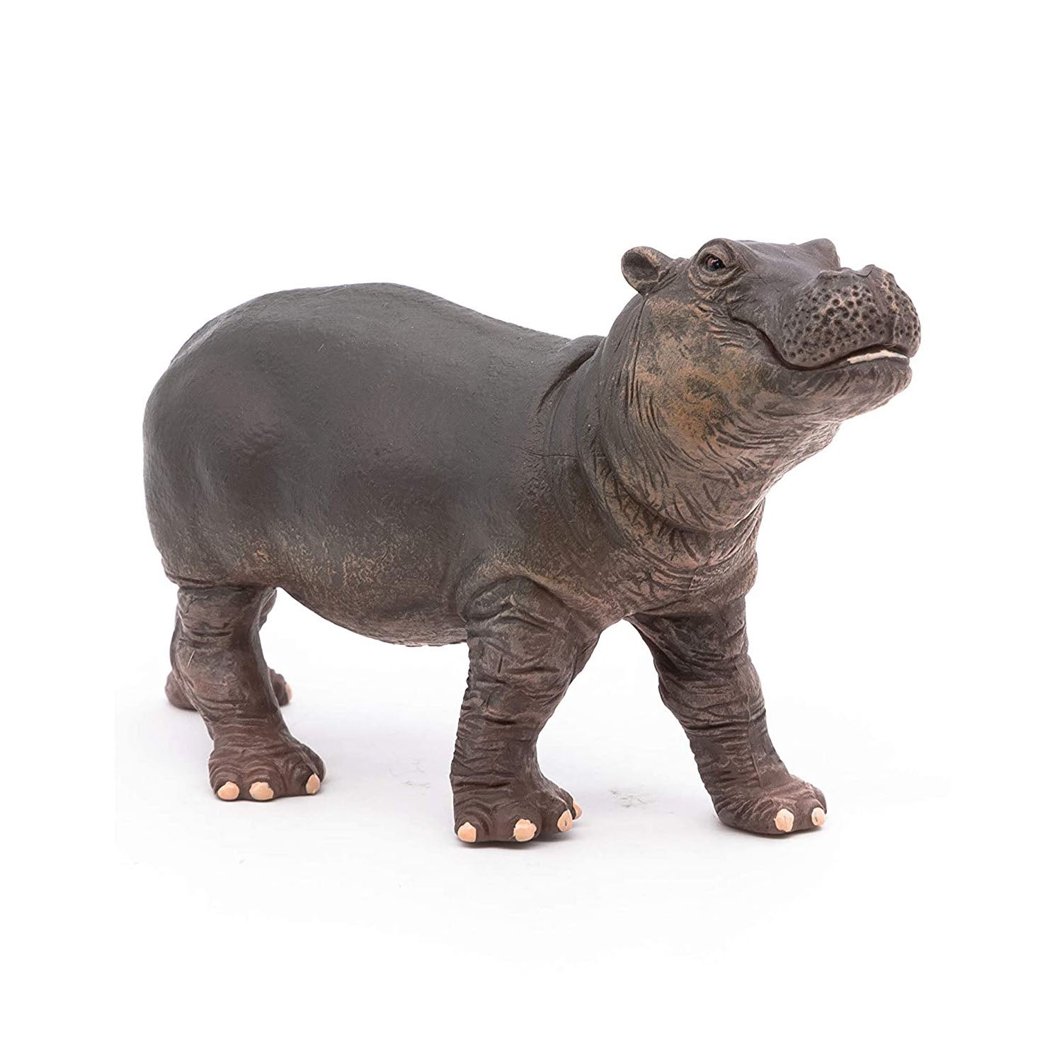 Hippo Calf – Treehouse Toys