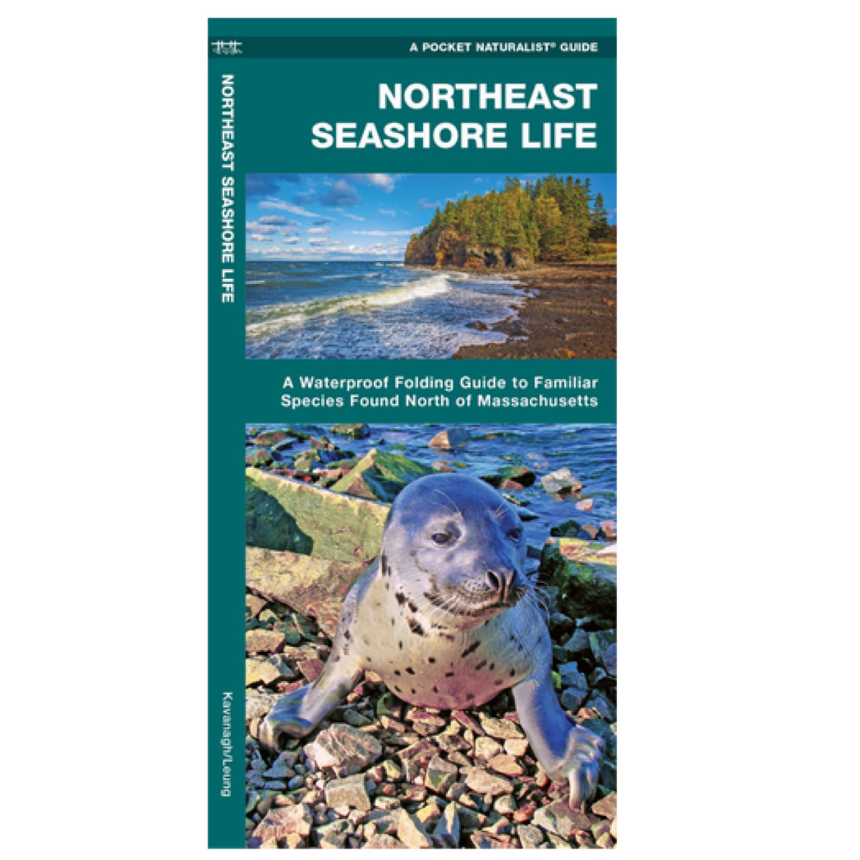 Pocket Northeast Seashore waterproof folding guide featuring coastal wildlife and habitats from Massachusetts to Northern Maine.