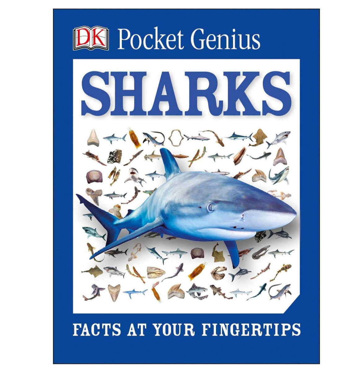 Pocket Genius Sharks book cover with a great white shark and various shark species illustrations.