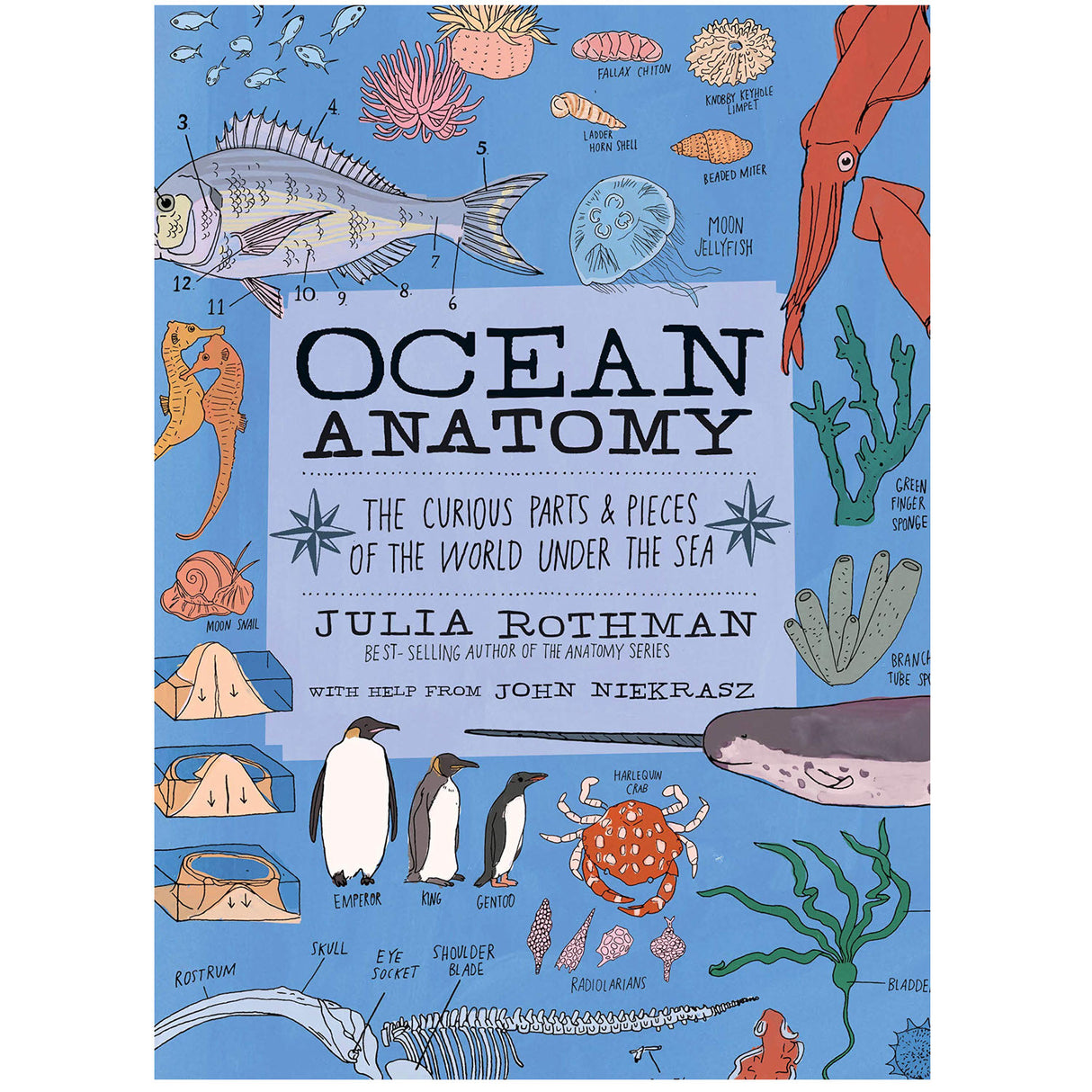 Ocean Anatomy book cover with colorful illustrations of sea creatures, ocean facts, and marine life anatomy.