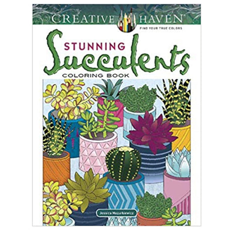 Stunning Succulents Coloring Book cover with colorful illustrated potted succulents in various creative planters.