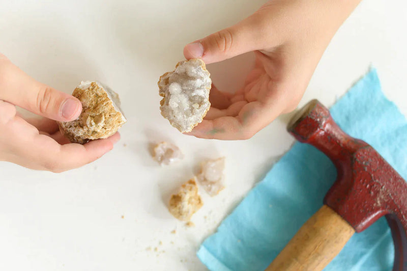 nature | fossils & rocks