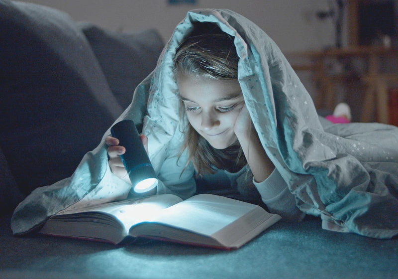 books | chapter books