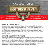 Cabinet of Owl Pellets: Dissection Kit educational owl pellet examination guide with student instructions