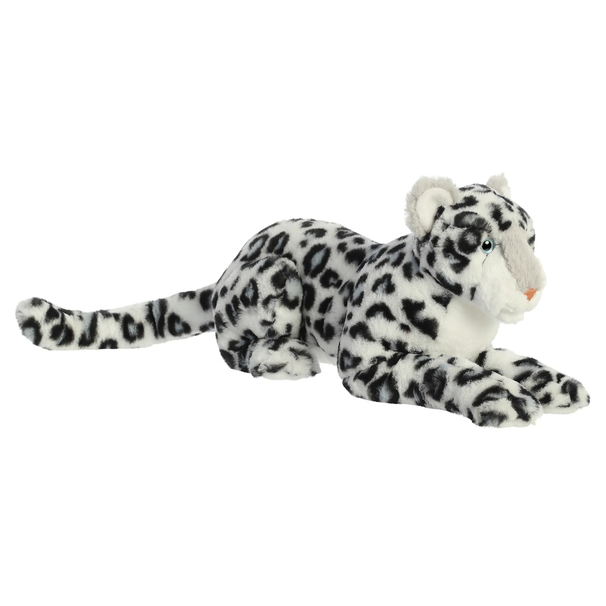 White Leopard Asha