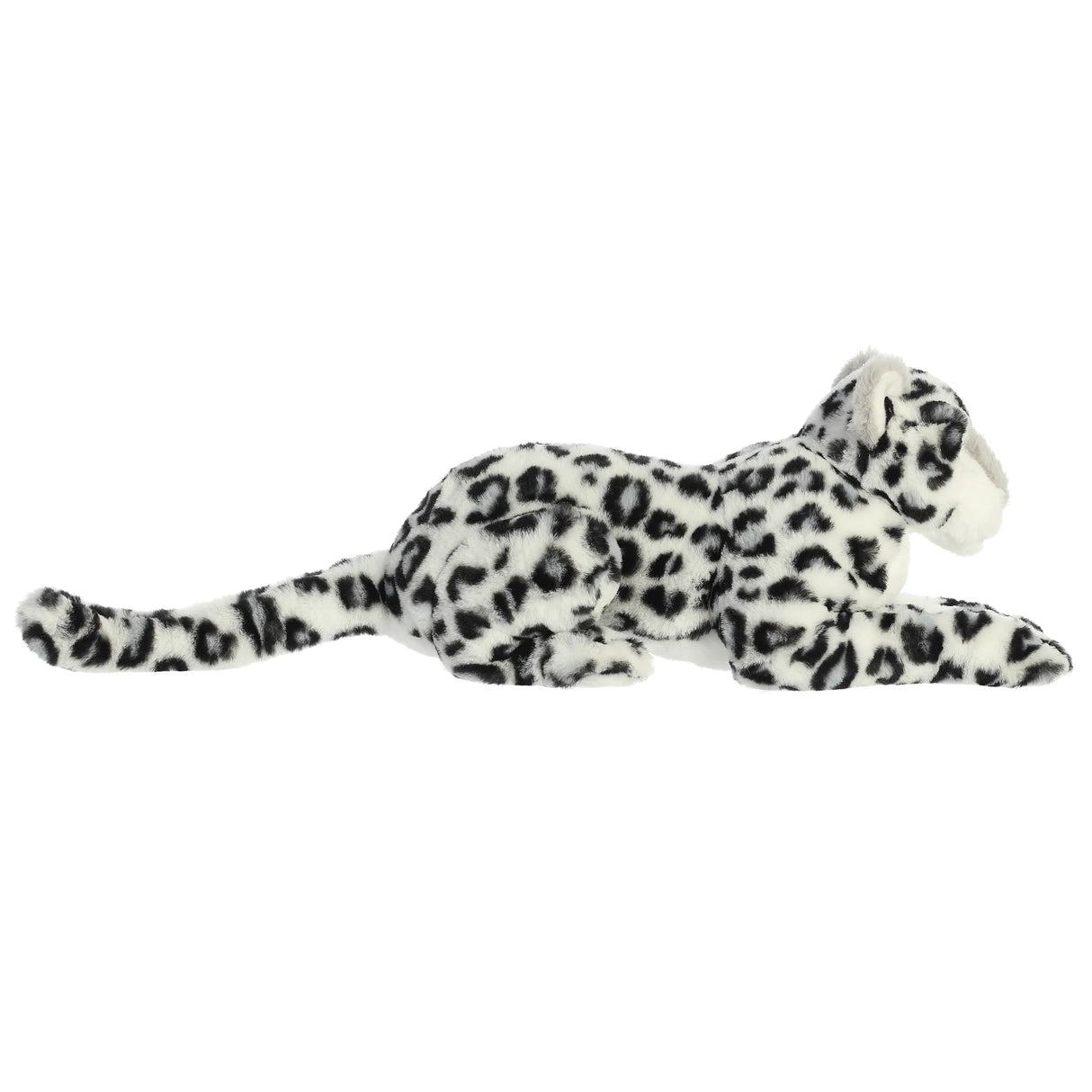 White Leopard Asha