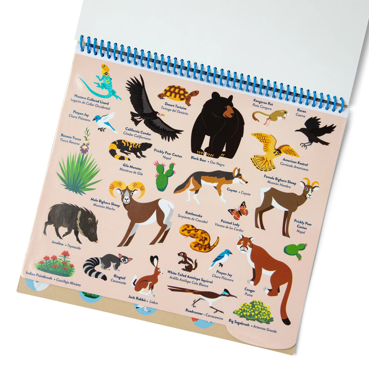 Reusable Stickers Park Animals