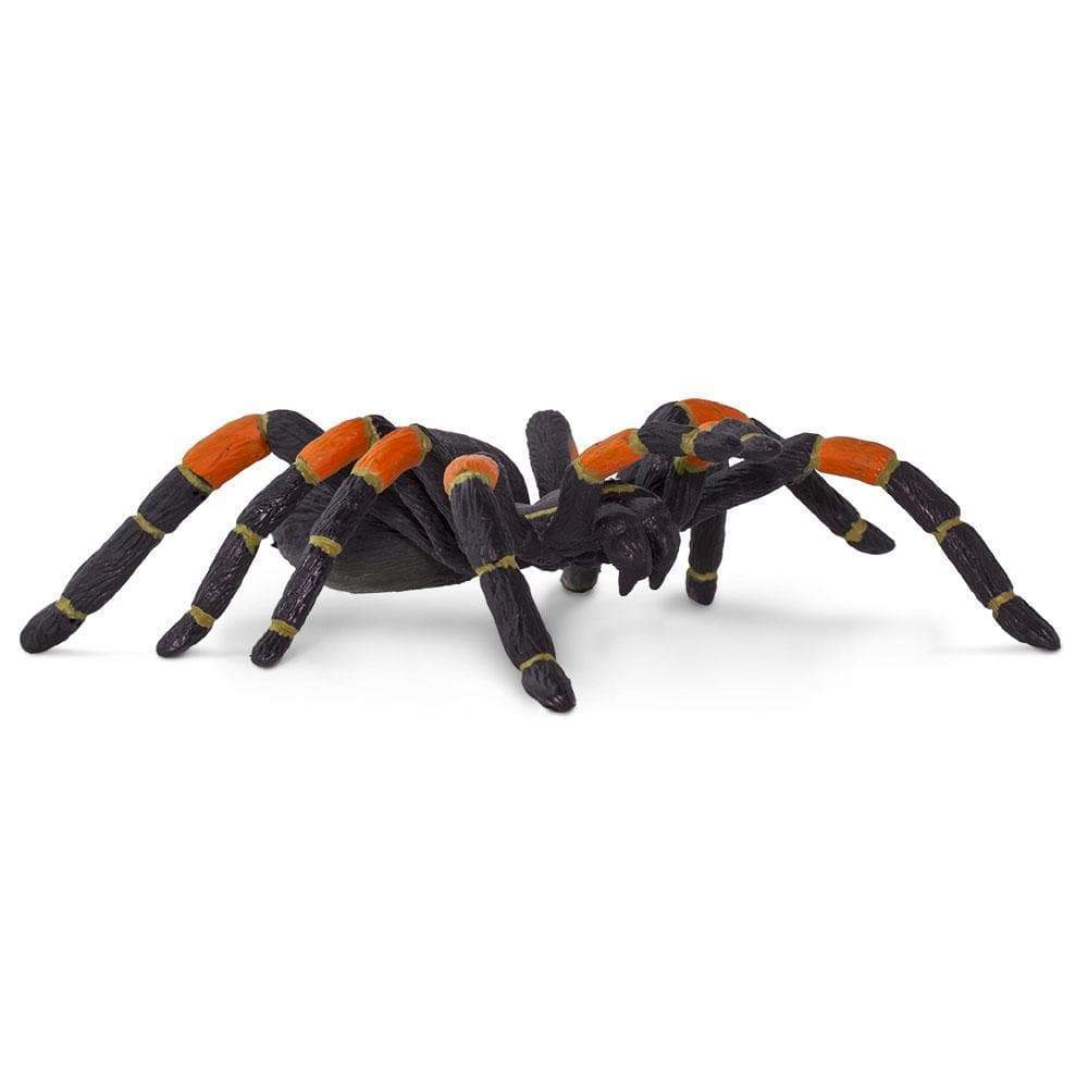 Orange-Kneed Tarantula – Treehouse Toys