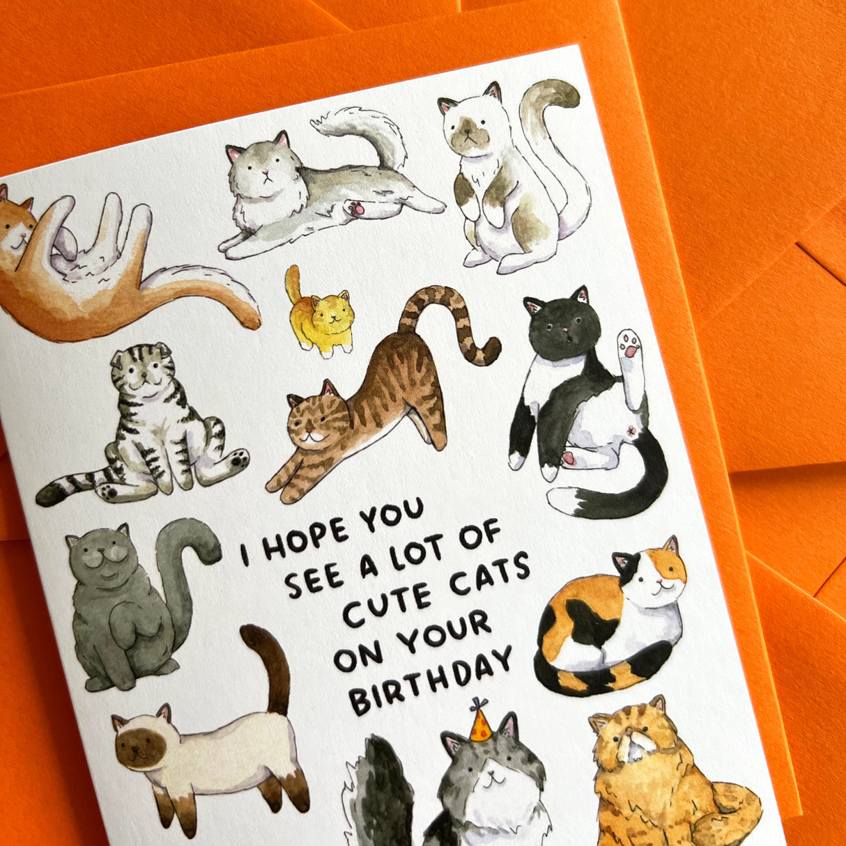 Hope You See A Lot of Cute Cats Card