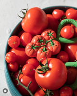 Close-up of a green tomato-shaped rattle toy resting among fresh red tomatoes in a blue bowl.