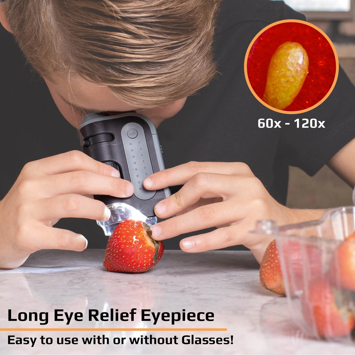 Lighted Pocket Microscope 60x-120x